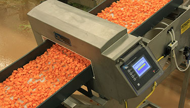 Carrots going through food processing metal detector
