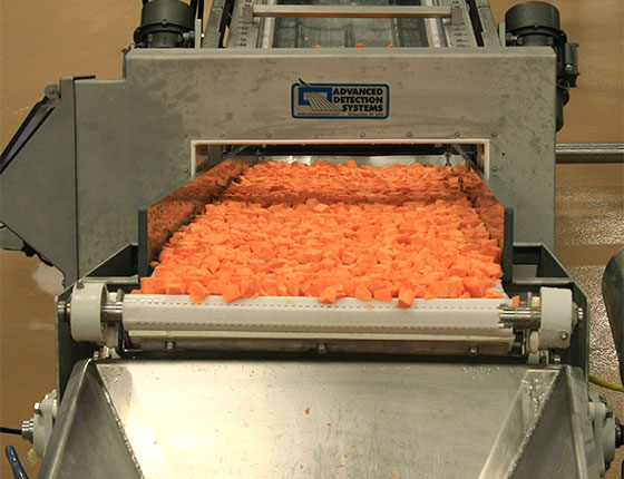 ProScan Max III Food Industry Metal Detector Scanning Carrots